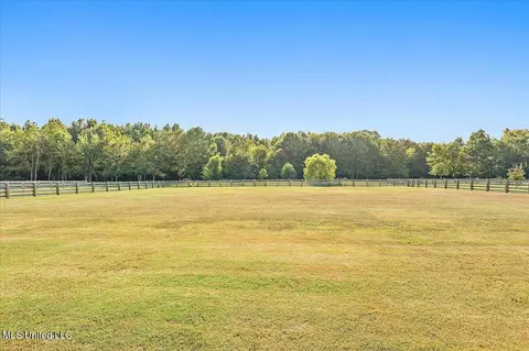 121 Crossview Pl, Brandon, MS 39047 photo 53