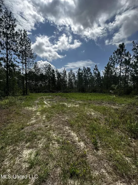 Jackson County Line Rd., Lucedale, MS 39452 photo 4