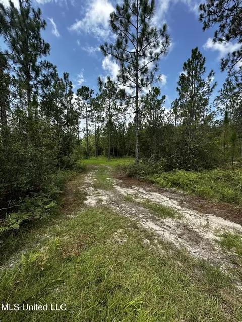 Jackson County Line Rd., Lucedale, MS 39452 photo 2