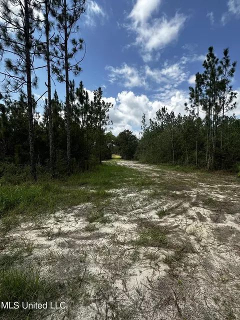 Jackson County Line Rd., Lucedale, MS 39452 photo 5