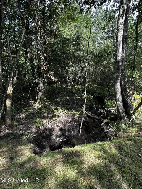 Jackson County Line Rd., Lucedale, MS 39452 photo 3