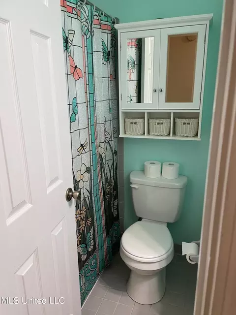 6771 River Birch Rd, Walls, MS 38680 photo 16