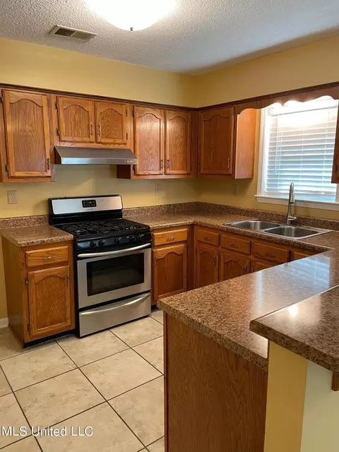 6771 River Birch Rd, Walls, MS 38680 photo 10