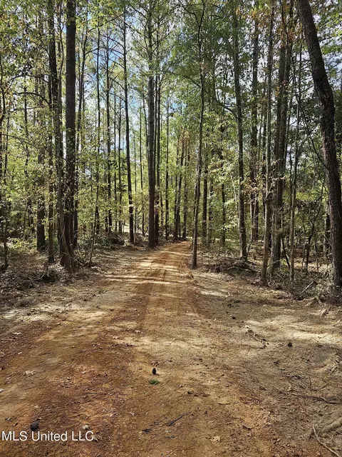 537 Bevill Dr, Florence, MS 39073 photo 5