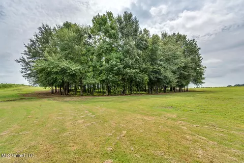 003 Windermere Blvd, Madison, MS 39110 photo 35