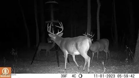 003 Windermere Blvd, Madison, MS 39110 photo 16