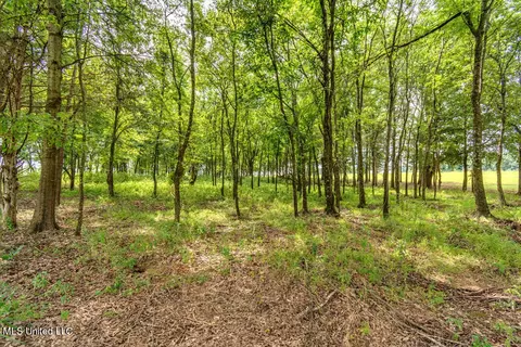 003 Windermere Blvd, Madison, MS 39110 photo 27