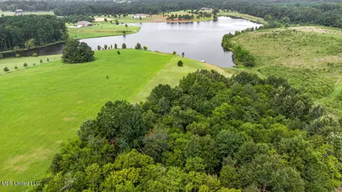 003 Windermere Blvd, Madison, MS 39110 photo 40