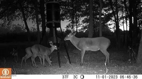 003 Windermere Blvd, Madison, MS 39110 photo 26