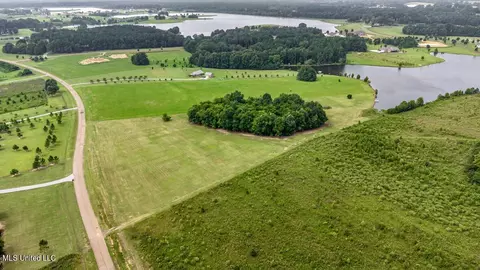 003 Windermere Blvd, Madison, MS 39110 photo 45