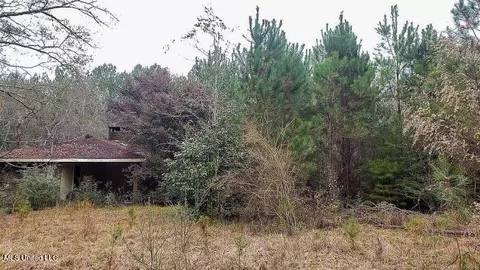 1209 Hilt Fornea Rd, Poplarville, MS 39470
