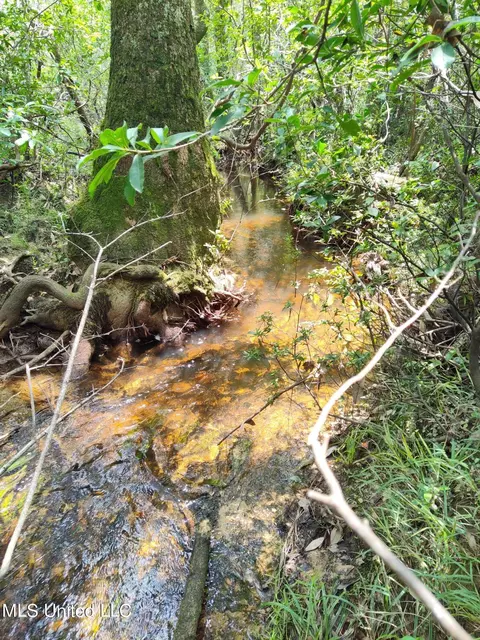 Three Rivers Road, Biloxi, MS 39532 photo 2