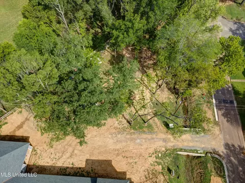 2115 Timber Ln, Hernando, MS 38632 photo 3