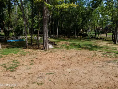 2115 Timber Ln, Hernando, MS 38632 photo 12