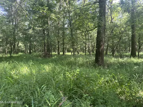 6083 Smith Station Rd, Edwards, MS 39066