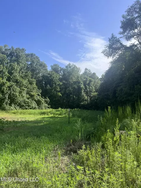 6083 Smith Station Rd, Edwards, MS 39066 photo 3