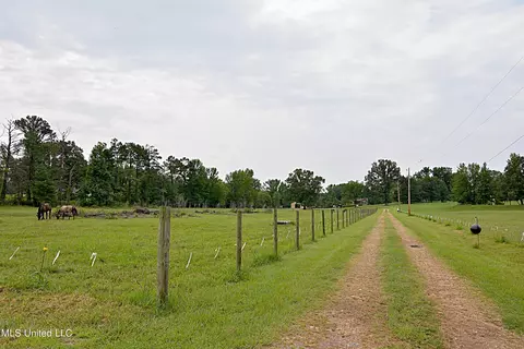 1374 Gaines Rd, Hernando, MS 38632 photo 41