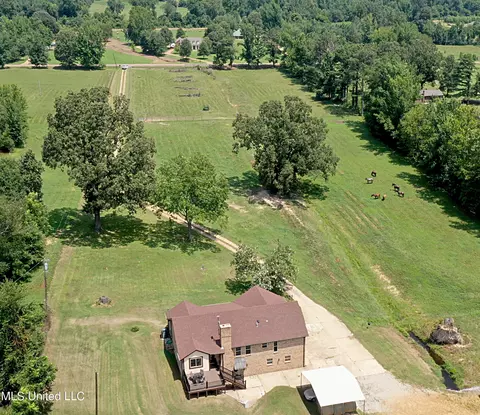 1374 Gaines Rd, Hernando, MS 38632 photo 33