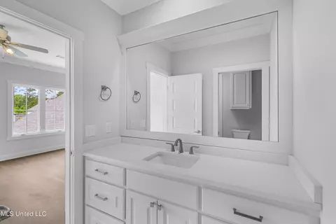206 Herons Bay Cir, Madison, MS 39110 photo 30