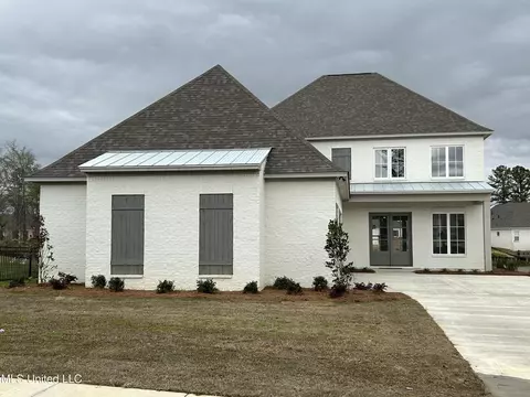 206 Herons Bay Cir, Madison, MS 39110 photo 2