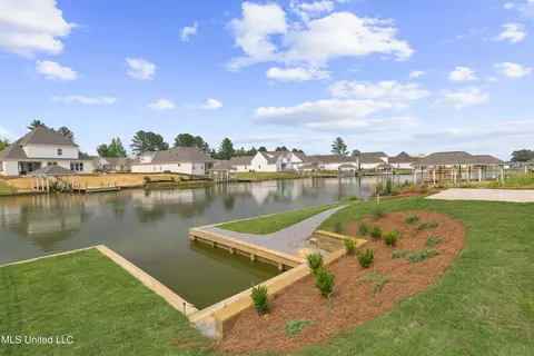 206 Herons Bay Cir, Madison, MS 39110 photo 38