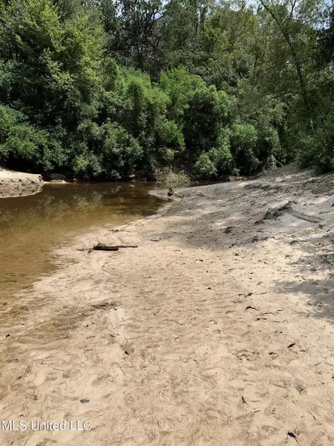 Riverline Road, Saucier, MS 39574 photo 3