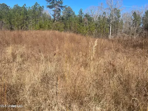 Pine Cove Court, Terry, MS 39170