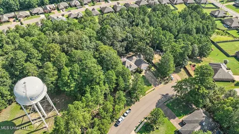 143 Azalea Trails Dr, Brandon, MS 39047 photo 52