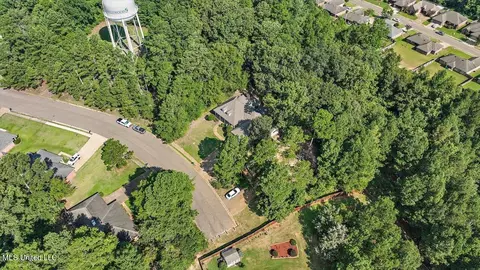 143 Azalea Trails Dr, Brandon, MS 39047 photo 50