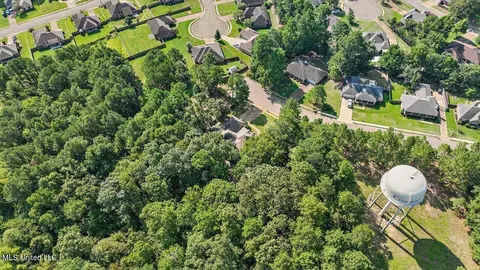 143 Azalea Trails Dr, Brandon, MS 39047 photo 59