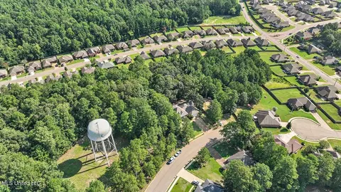 143 Azalea Trails Dr, Brandon, MS 39047 photo 53