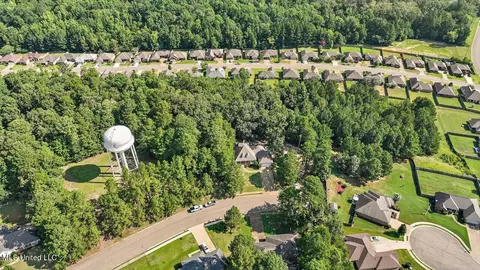 143 Azalea Trails Dr, Brandon, MS 39047 photo 54