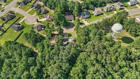143 Azalea Trails Dr, Brandon, MS 39047 photo 58