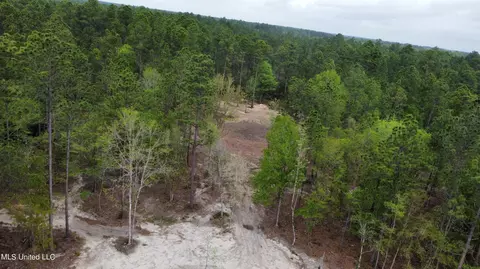 Goff Farm Road, Moss Point, MS 39562 photo 11