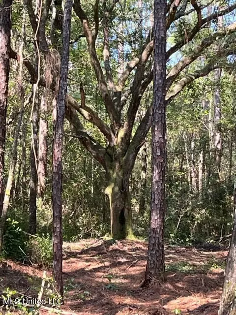 Goff Farm Road, Moss Point, MS 39562