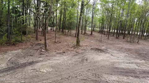 Goff Farm Road, Moss Point, MS 39562 photo 12