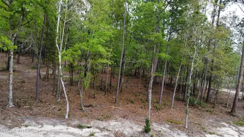 Goff Farm Road, Moss Point, MS 39562 photo 9