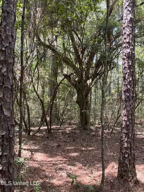 Goff Farm Road, Moss Point, MS 39562 photo 5