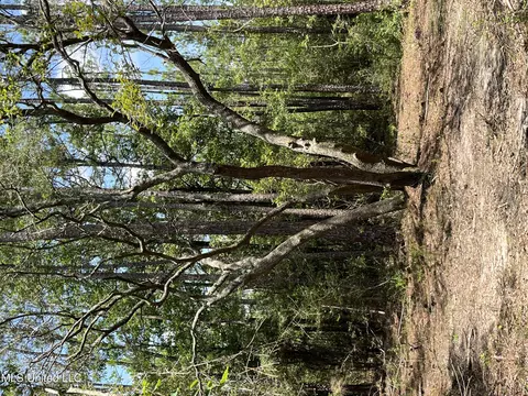 Goff Farm Road, Moss Point, MS 39562 photo 6