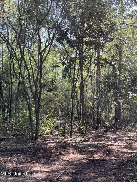 Goff Farm Road, Moss Point, MS 39562 photo 2