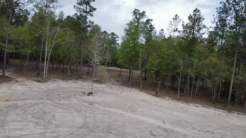 Goff Farm Road, Moss Point, MS 39562 photo 10