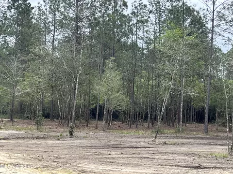 Goff Farm Road, Moss Point, MS 39562 photo 7