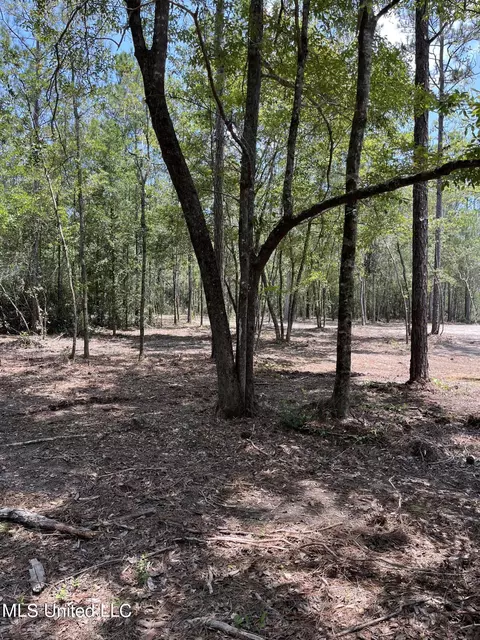 Goff Farm Road, Moss Point, MS 39562 photo 3