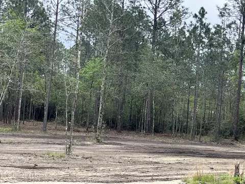 Goff Farm Road, Moss Point, MS 39562 photo 8