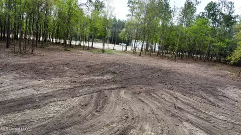 Goff Farm Road, Moss Point, MS 39562 photo 13