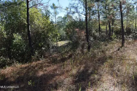 0000 Reese Dr, Saucier, MS 39574 photo 4