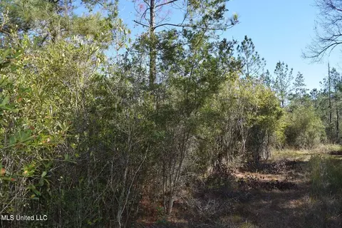 0000 Reese Dr, Saucier, MS 39574 photo 8