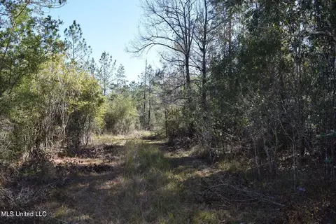 0000 Reese Dr, Saucier, MS 39574 photo 7