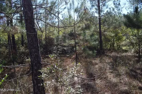 0000 Reese Dr, Saucier, MS 39574 photo 5