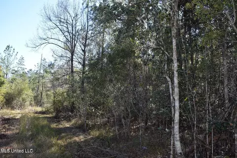 0000 Reese Dr, Saucier, MS 39574 photo 9